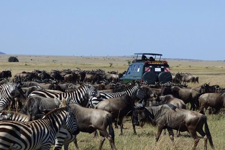 6-Day Kenya Safari: Giraffe Centre, Lake Naivasha, Hell's Gate & Masai Mara photo 5