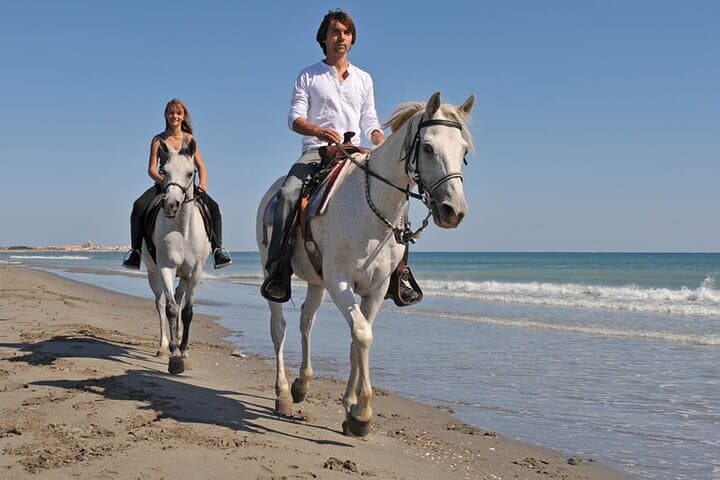Beach and Desert Horseback Riding Near Sharm El Sheikh — 1–2 Hour Guided Ride with Transfer photo 2