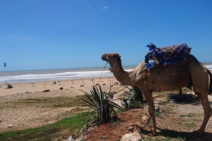 Private 2-Hour Quad Ride on Sidi Kaouki Beach and Cap Sim Dunes photo 5