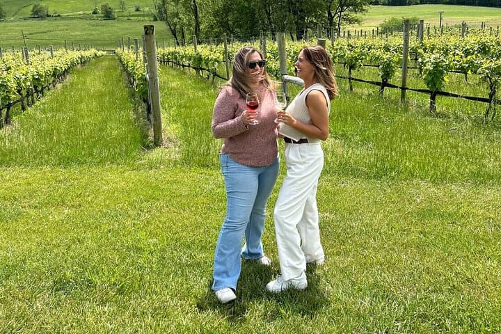 Loudoun County Winery Bus Tour: 3-Winery Day Trip from Washington D.C. photo 2