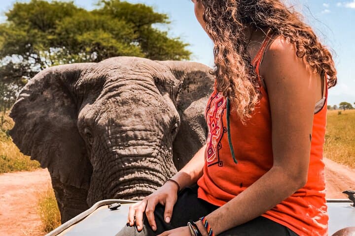 3-Day Safari to Tarangire and Ngorongoro Crater — Big Five, Elephants & Crater Views