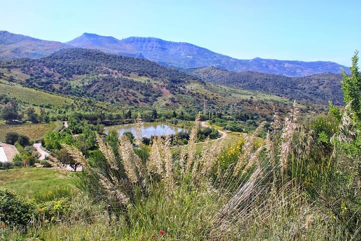 Castelbuono Private Winery Tour and Gourmet Sicilian Lunch photo 6