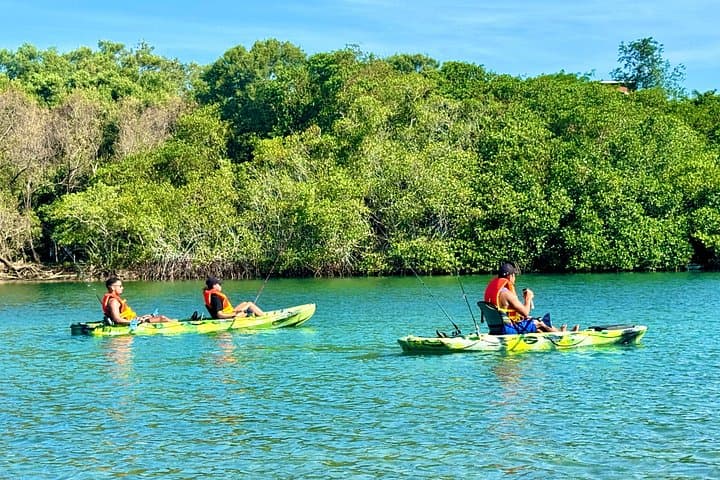 Kayak Fishing in Langosta: Private Estuary Adventure from Tamarindo photo 3