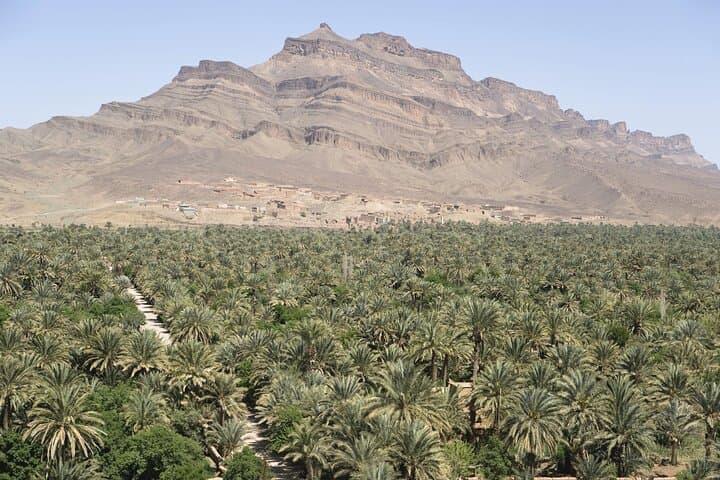 Zagora Sahara Desert Trip — 2 Days, 1 Night from Marrakech photo 6
