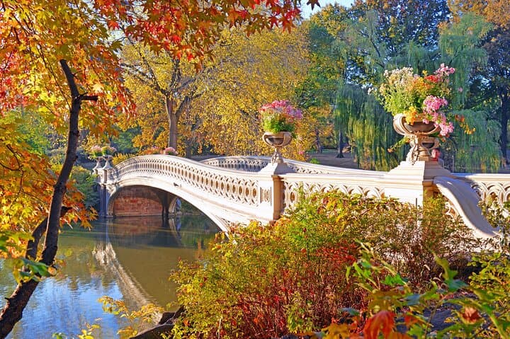 Electric Scooter Tour of Central Park: 2-Hour Guided Ride from Columbus Circle photo 6
