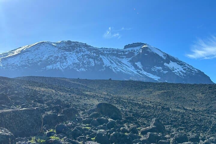 Marangu to Mandara: Kilimanjaro One-Day Hike from Moshi photo 2