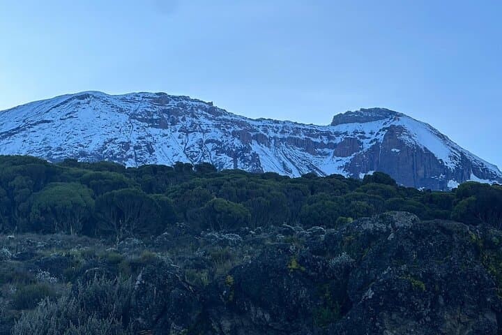 Marangu to Mandara: Kilimanjaro One-Day Hike from Moshi