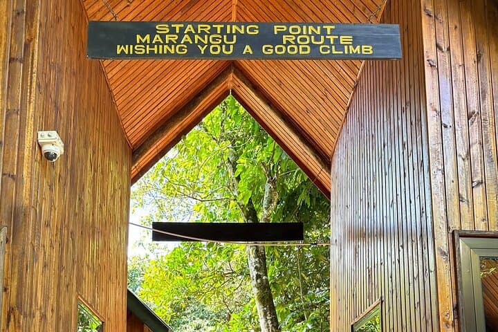 Marangu to Mandara: Kilimanjaro One-Day Hike from Moshi photo 5