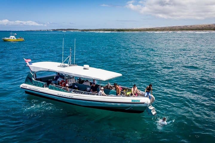 Kealakekua Bay Dolphin Reef Snorkel & Sea Caves from Kona photo 4