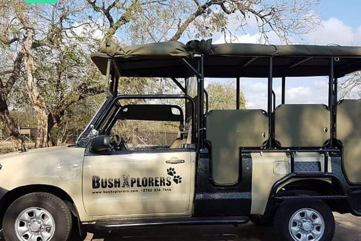 Half-Day Kruger Game Drive: Search the Big Five from Hazyview
