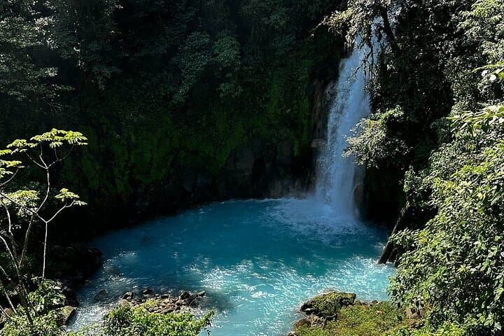 Río Celeste Private Hike: Waterfall, Hot Springs & Blue River Experience