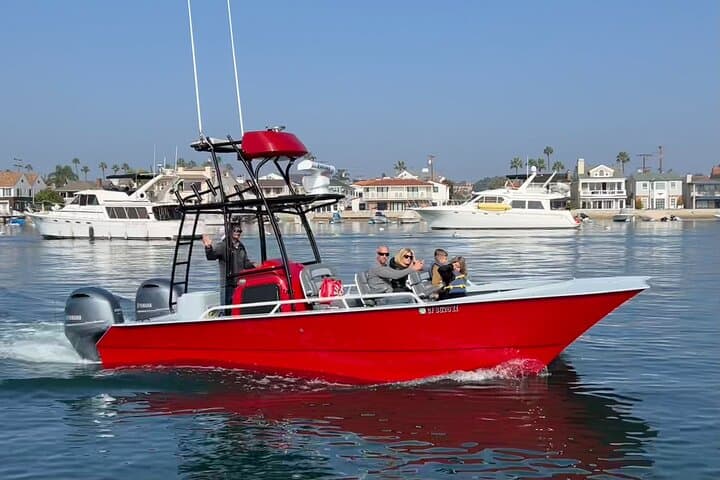 Small-Group Whale and Dolphin Watching from Balboa Island (2 hr)