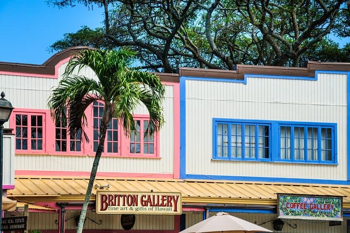 Oahu Circle Island Tour: Full-Day Bus Adventure from Waikiki to the North Shore photo 5