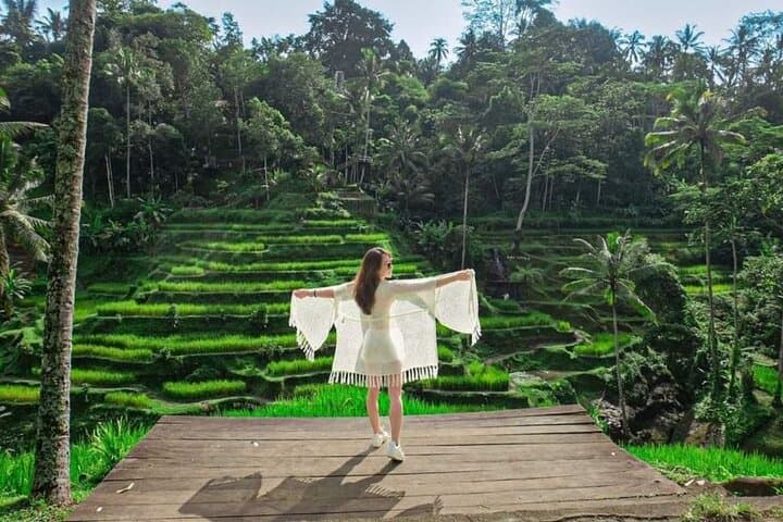 Ubud All-Inclusive Private Guide Tour — Monkey Forest, Tegalalang Rice Terraces & Jungle Swing photo 5