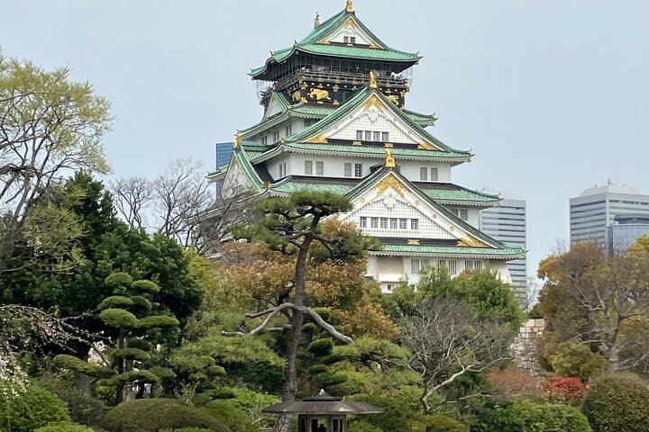 Private Osaka Walking Tour with Hotel Pickup — Osaka Castle, Dotonbori & Shinsekai