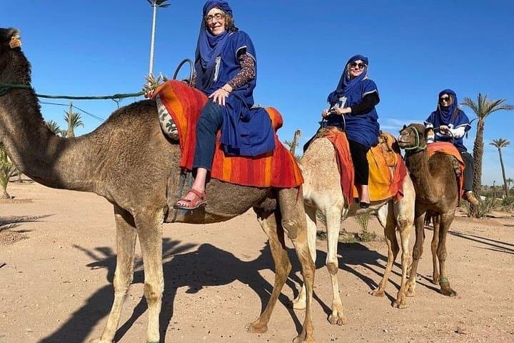 Luxury Day Trip to Marrakech from Casablanca with Camel Ride in La Palmeraie photo 4