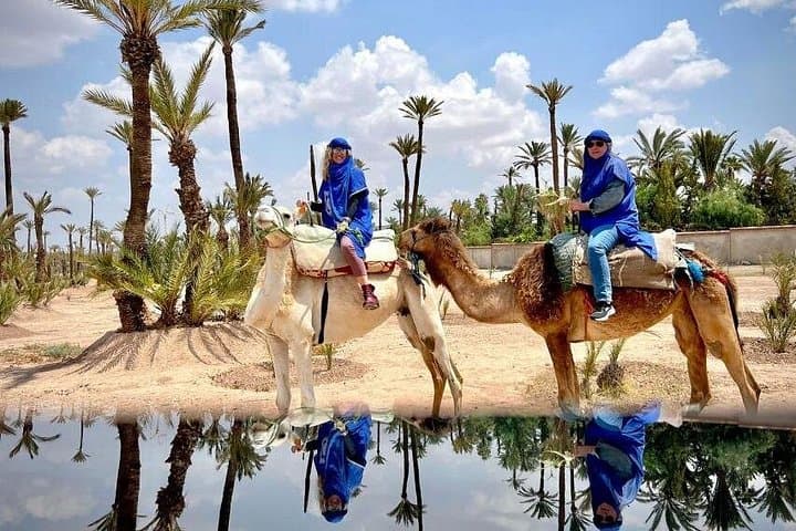Luxury Day Trip to Marrakech from Casablanca with Camel Ride in La Palmeraie photo 1