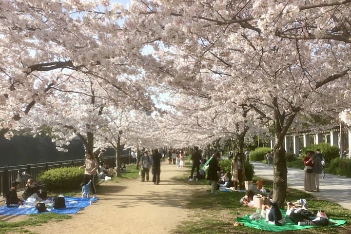 Private Osaka Walking Tour with Hotel Pickup — Osaka Castle, Dotonbori & Shinsekai photo 2