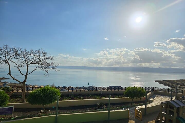Private Half-Day Dead Sea Tour from Amman: Float, Mud Baths & Hotel Facilities