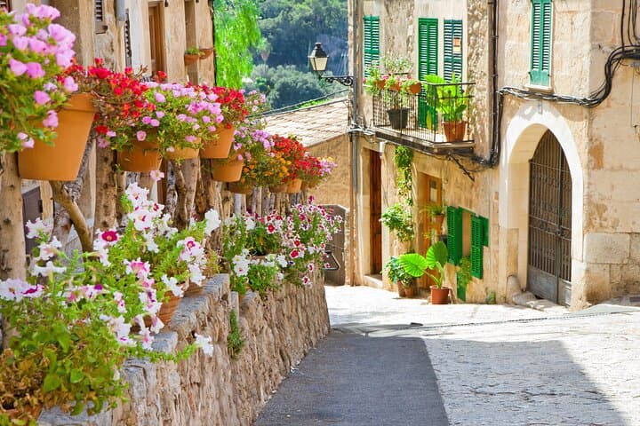Valldemossa and Port de Sóller Half-Day Tour with Coca de Patata Tasting photo 3