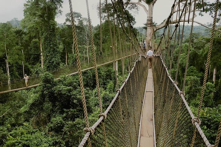 Cape Coast, Elmina & Kakum: Day Tour from Accra to Castles and Canopy Walkway photo 4