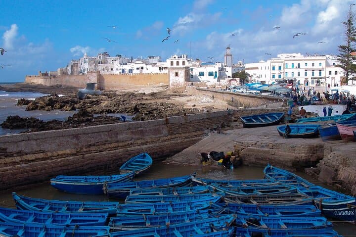 Essaouira Day Trip from Marrakech: Coastal Forts, Argan Forests & Medina Walk photo 3