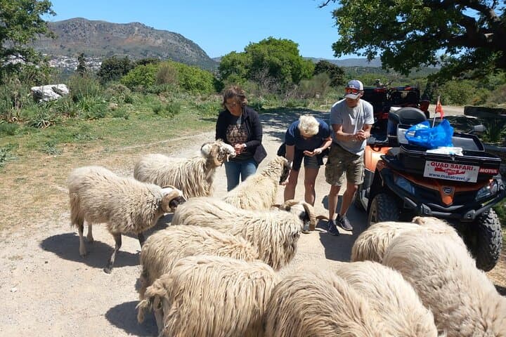 Off-road Buggy Safari in Crete: Explore Caves, Villages & Olive Groves photo 6