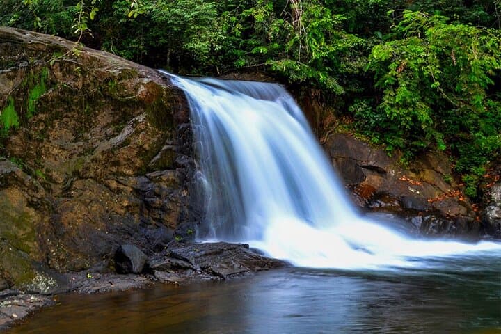 Sinharaja Rainforest Day Trek & Duvili Ella Waterfall Dip — Private Guided Tour from Colombo photo 4