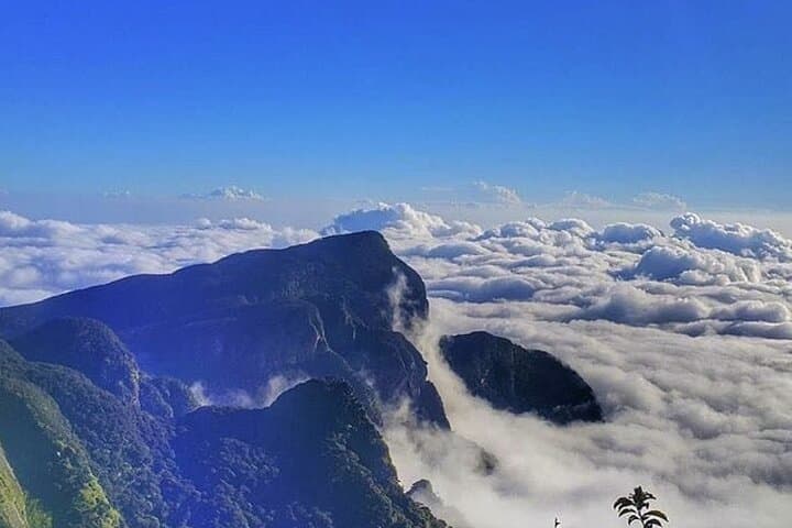 Knuckles Mountains Guided Trek: Day Trek from Kandy Through Tea, Forest & Waterfalls photo 2