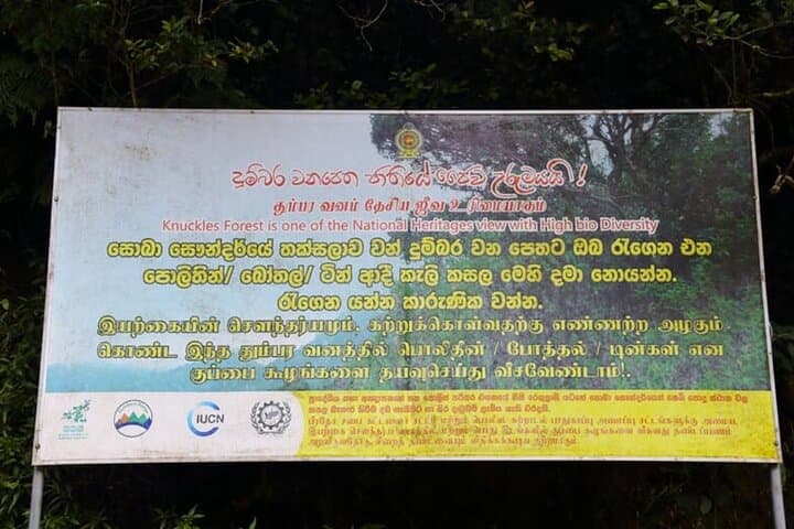 Knuckles Mountains Guided Trek: Day Trek from Kandy Through Tea, Forest & Waterfalls photo 3