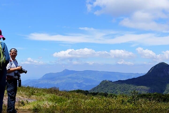 Knuckles Mountains Guided Trek: Day Trek from Kandy Through Tea, Forest & Waterfalls photo 5