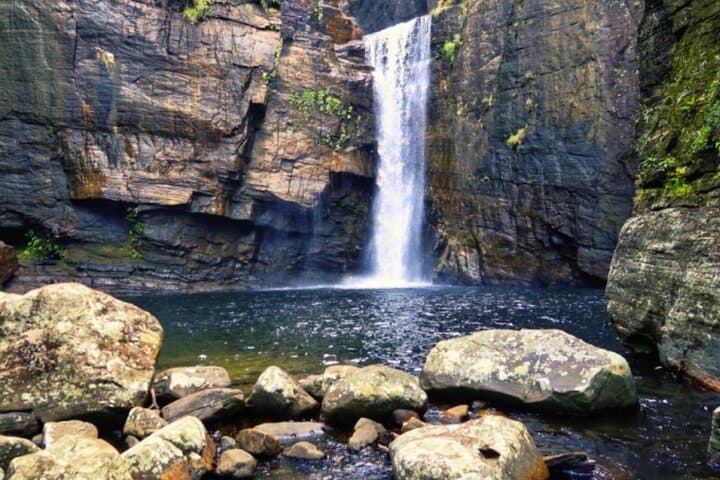 Knuckles Mountains Guided Trek: Day Trek from Kandy Through Tea, Forest & Waterfalls photo 6