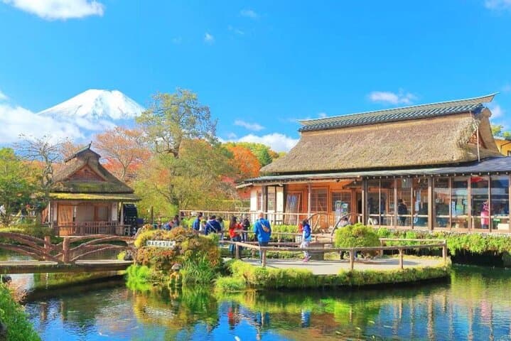 Private Mount Fuji & Hakone One-Day Tour — Chureito Pagoda, Lake Ashi & Owakudani photo 3