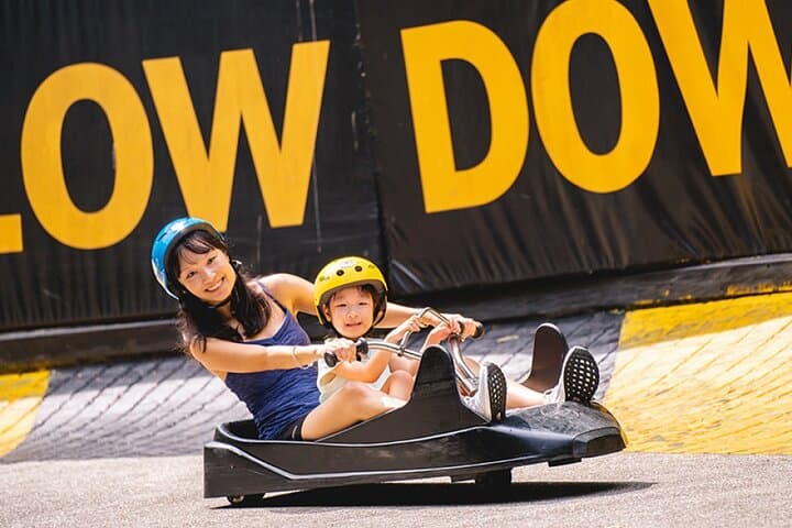 Race the Slopes: Skyline Luge and Skyride on Sentosa Island photo 2