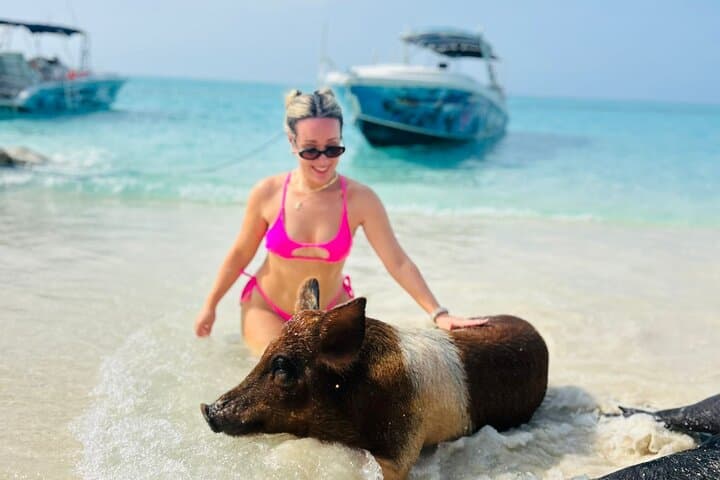 Rose Island Beach Day: Swimming Pigs, Turtle Sanctuary & Reef Snorkel from Nassau photo 2