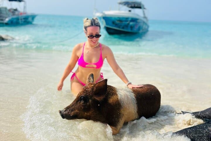 Half-Day All-Inclusive: Swimming Pigs, Turtles, Snorkel & Lunch from Nassau photo 1