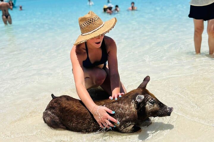 Half-Day All-Inclusive: Swimming Pigs, Turtles, Snorkel & Lunch from Nassau photo 2