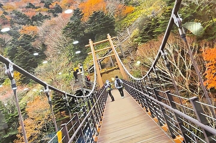 Summit Hallasan: Private Guided Hike to Baeknokdam on Jeju Island photo 2