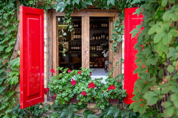 Day Trip from Rome to Tuscany & Assisi — Montepulciano Wine Lunch and Assisi Guided Tour photo 3