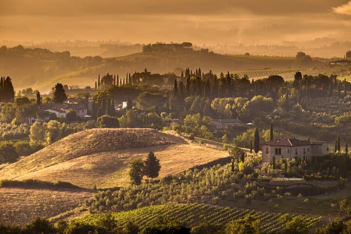 Day Trip from Rome to Tuscany & Assisi — Montepulciano Wine Lunch and Assisi Guided Tour photo 4