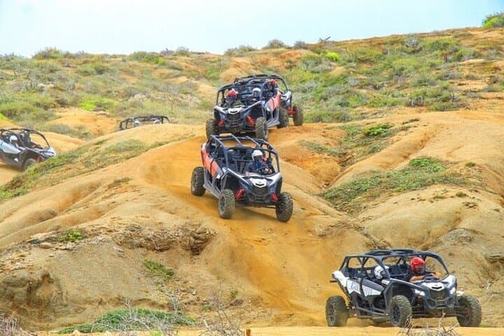 Camel Ride and UTV Combo in Cabo San Lucas with Tequila Tasting photo 4