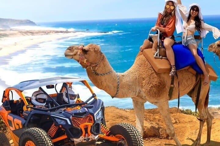 Camel Ride and UTV Combo in Cabo San Lucas with Tequila Tasting