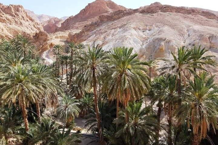 Private Sahara Dune-Buggy Multiday Tour in Tunisia photo 6