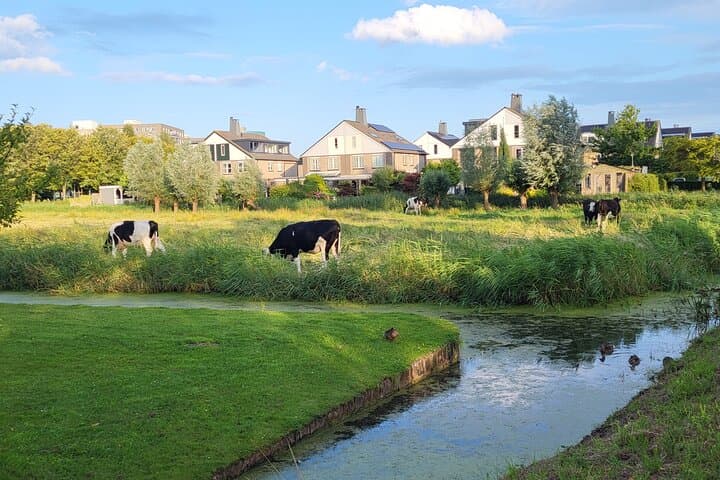 Hidden Gems of Amsterdam: Private Luxury Minivan Tour with a Local photo 5
