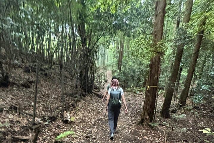 Hiking Fushimi Inari: Senbon Torii, Mountain Shrines & 7 km Loop