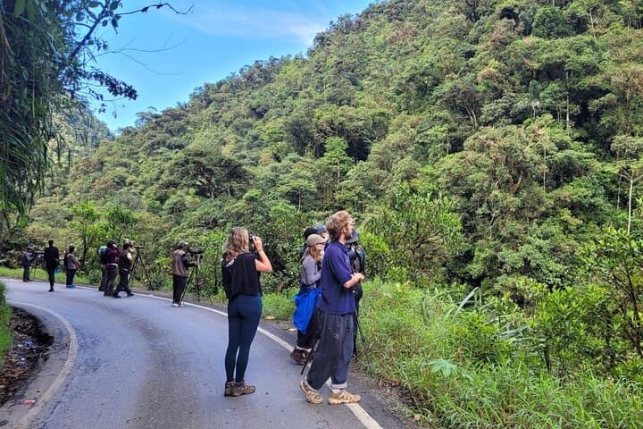 3-Day Amazon Jungle Tour in Manu National Park, Peru photo 2