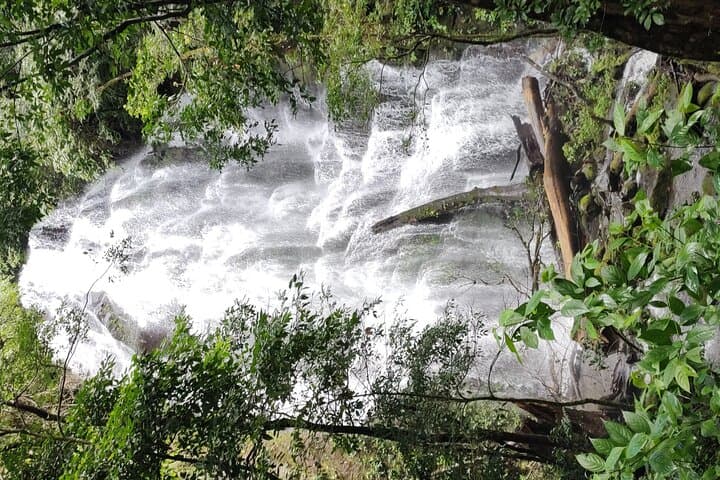 Rincón de la Vieja Volcano Hike, Waterfall Swim & Hot Springs with Lunch