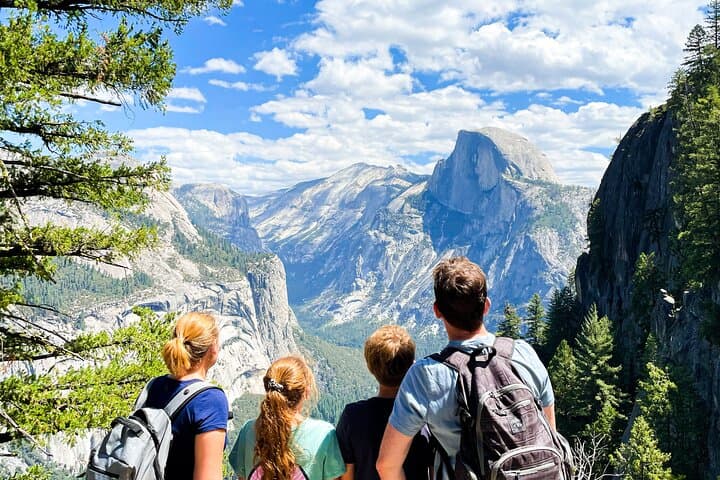 Yosemite Family Explorers: Customizable Private Tour for All Ages