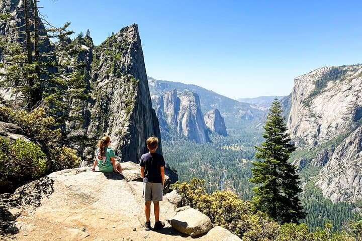 Yosemite Family Explorers: Customizable Private Tour for All Ages photo 6