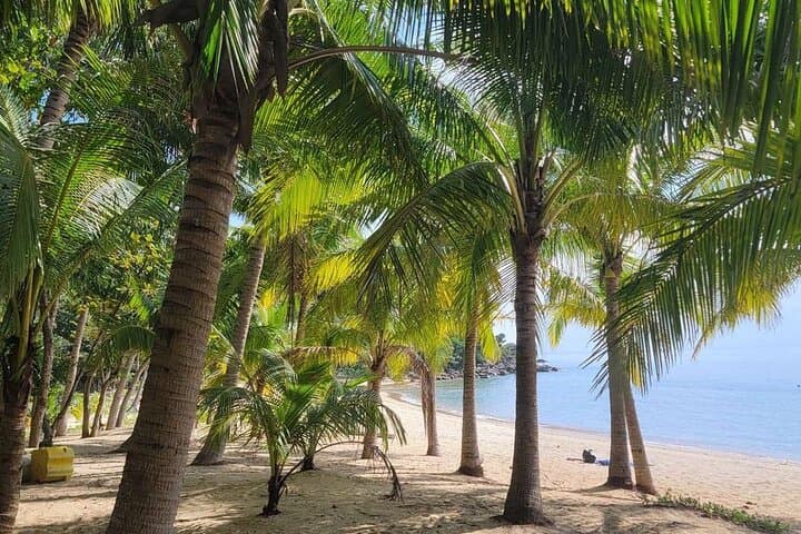 Cham Islands Speed Boat Snorkel Day Trip from Hoi An photo 6